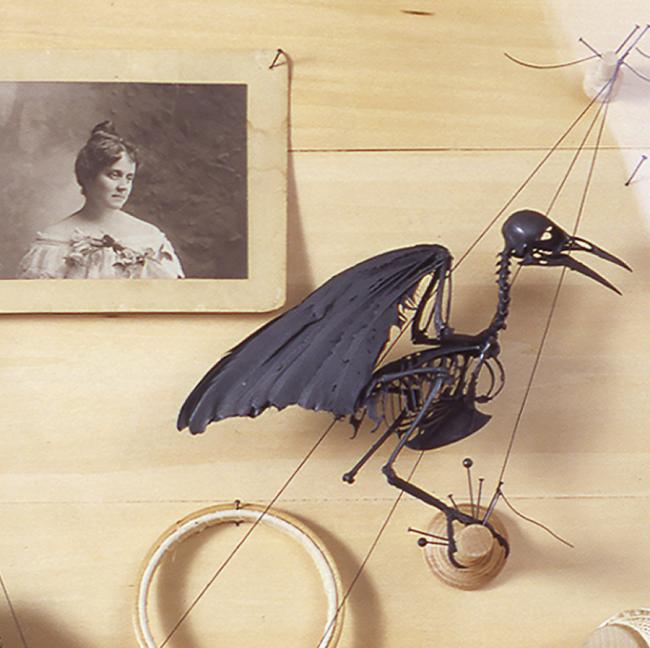 Requiem_light wood interior dark bird skeleton photograph hoop spool