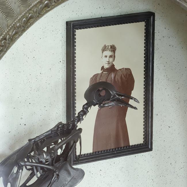 Shadowboxes_silver oval frame bird skeleton facing woman in photograph