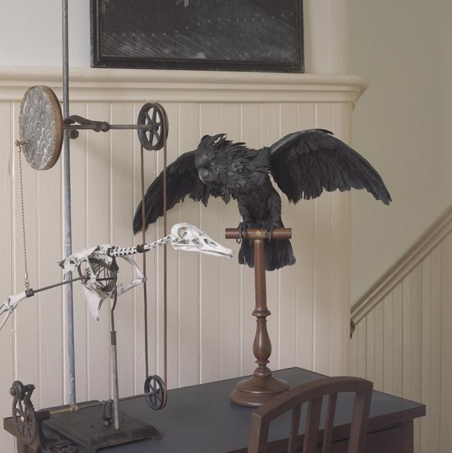 dark flying bird on stand, bird skeleton, machine, flying bird print