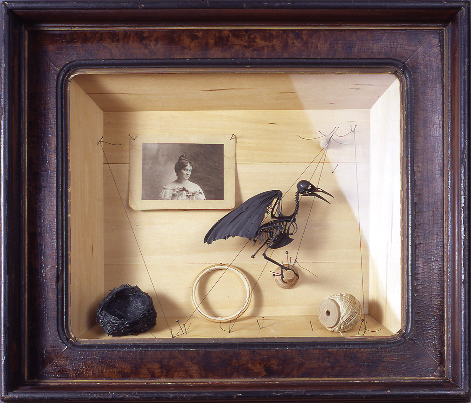 Requiem_light wood interior dark bird skeleton photograph hoop spool