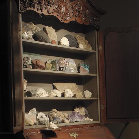 Loca Miraculi_room 1_wood cabinet with minerals shells
