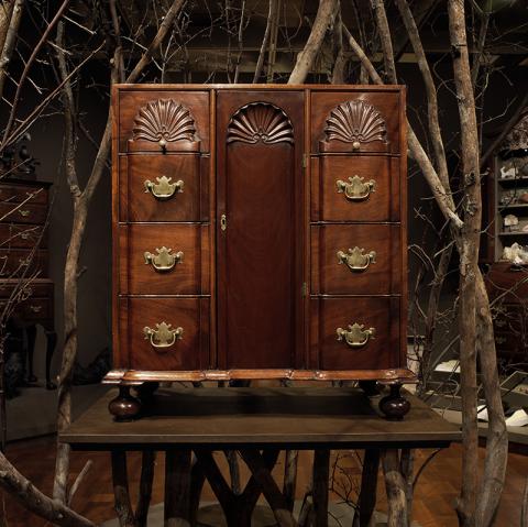 Loca Miraculi_room 1_wood cabinet surrounded with branches
