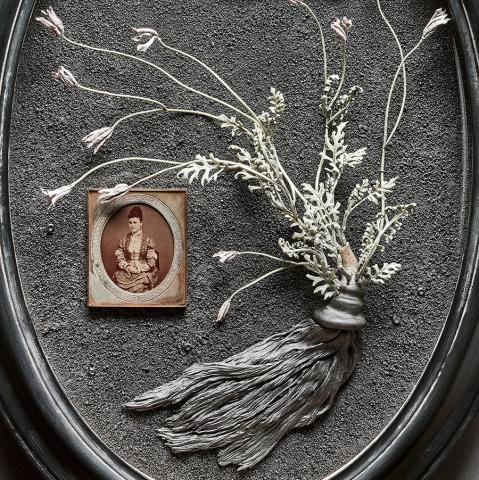 Psychology_oval frame gray background plant pink flowers woman photograph